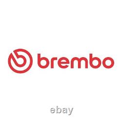 Brembo 08. C208.11 Rear Brake Discs Pair 300mm Diameter Solid 10mm Thickness