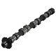 Camshaft For Jaguar Land Rover 2.2 D 224dt Dw12bted4 Qjb2