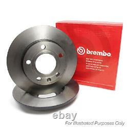 Genuine Brembo Rear Brake Discs Solid 300mm Pair 08. C208.11