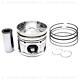 Piston Standard For Land Rover Citroen 2.7 276dt